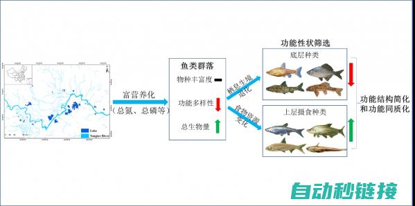 定义与功能差异 (定义与功能差异的区别)