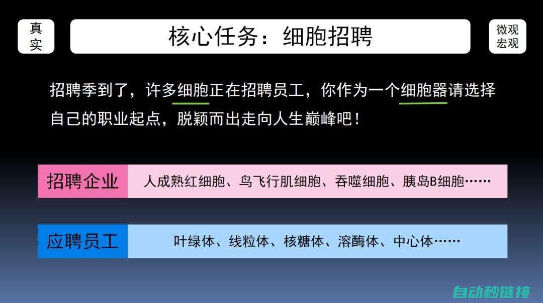 深入理解模拟量输出程序 (深入理解模拟考试答案)